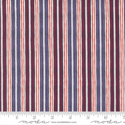 Jelly Roll 2.5" Strips - The Lookout - Moda