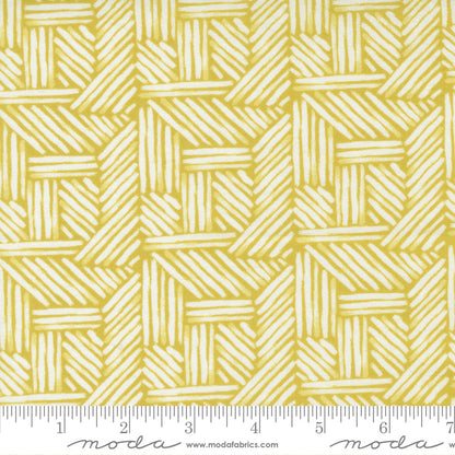 Jelly Roll 2.5" Strips - The Lookout - Moda
