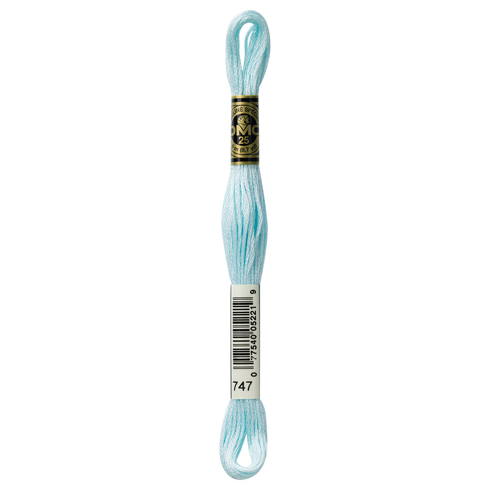 DMC Cotton 6 Strand Floss 8m - 747