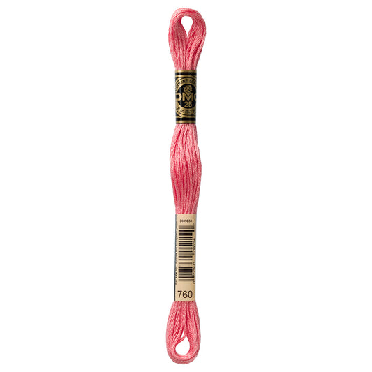DMC Cotton 6 Strand Floss 8m - 760