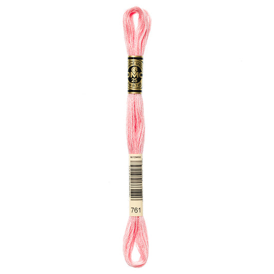 DMC Cotton 6 Strand Floss 8m - 761