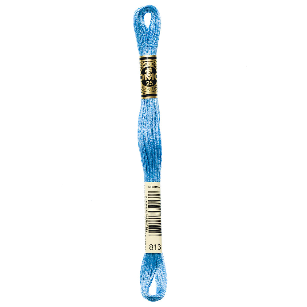DMC Cotton 6 Strand Floss 8m - 813