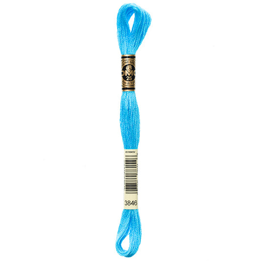 DMC Cotton 6 Strand Floss 8m - 3846