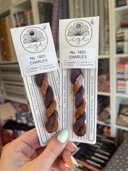 *Discontinué* 1803 Charles - Fils à broder pré-coupés Mouliné - Cottage Garden Threads