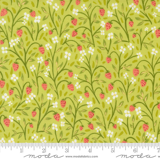 1CANOE2 Kindred - Fraise Meadow - Moda