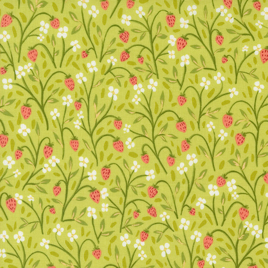 1CANOE2 Kindred - Fraise Meadow - Moda