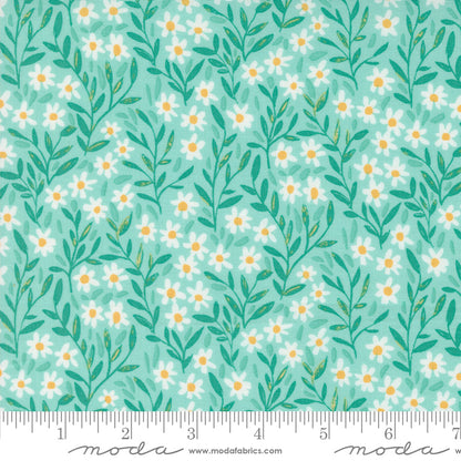 1CANOE2 Kindred - Aqua Marguerite - Moda