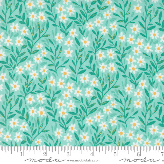 1CANOE2 Kindred - Aqua Marguerite - Moda