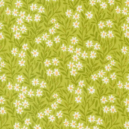 1CANOE2 Kindred - Meadow Daisy - Moda