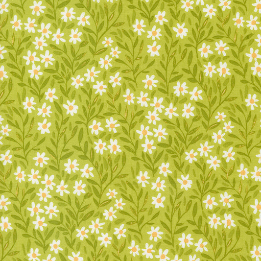 1CANOE2 Kindred - Meadow Daisy - Moda