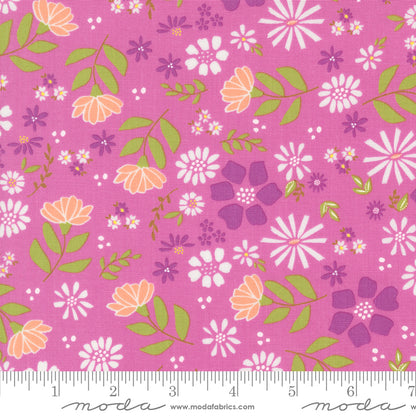 Laguna Sunrise (Sherri & Chelsi)- Sweet Pea Main - Moda