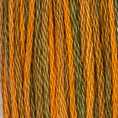 24 Mango - Embroidery Floss 2x5m - House Of Embroidery
