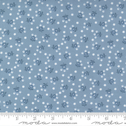 Nantucket Summer (Camille Roskelley) - Light Blue - Moda