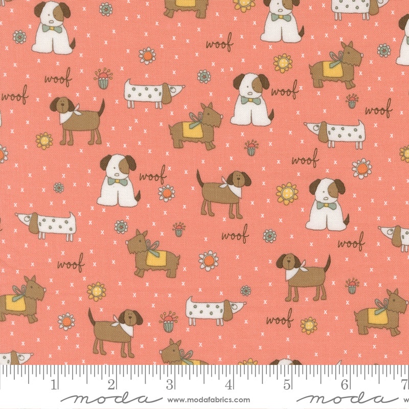 Lucky (Sweetwater) - Chien Corail - Moda