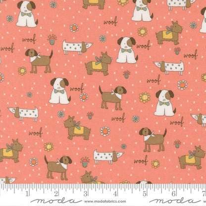 Lucky (Sweetwater) - Chien Corail - Moda