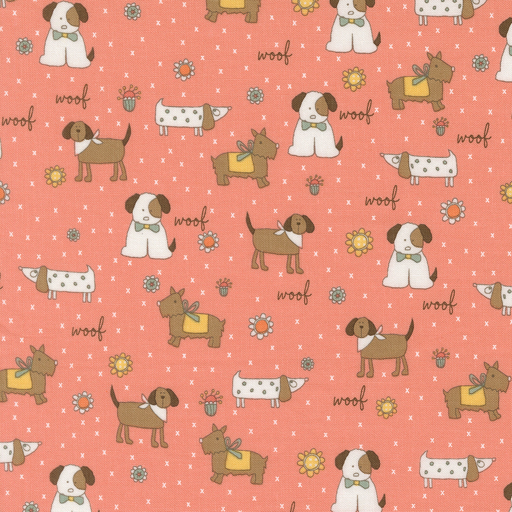 Lucky (Sweetwater) - Chien Corail - Moda