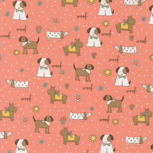 Lucky (Sweetwater) - Chien Corail - Moda