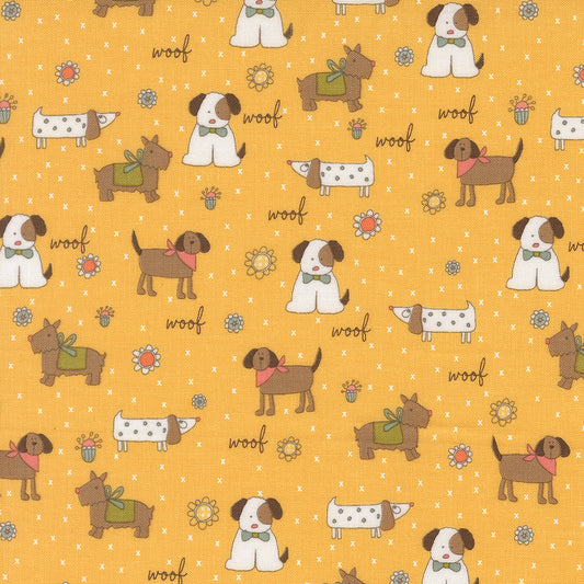 Lucky (Sweetwater) - Chien Jaune - Moda