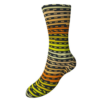 Austermann STEP6 Samarkand Collection - 5 Colors!