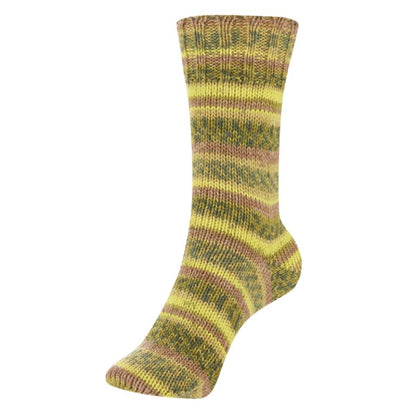 Austermann STEP6 Memory Collection - 5 Colors!