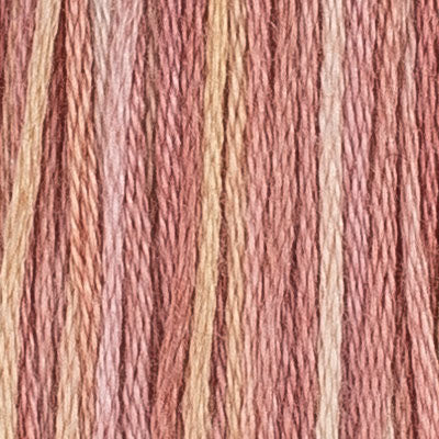 44 Antiquity - Embroidery Floss 2x5m - House Of Embroidery