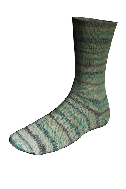 LANGYARNS Twin Soxx 4ply - Whistler
