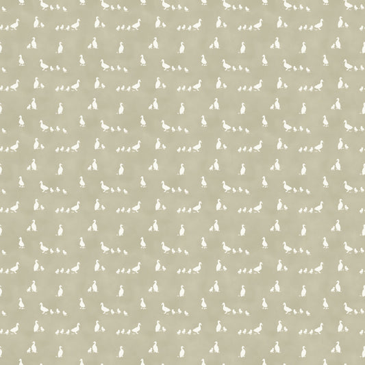 Tiny Waddles - Canetons - Northcott