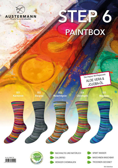 Austermann STEP6 Paintbox Collection - 5 Colors!