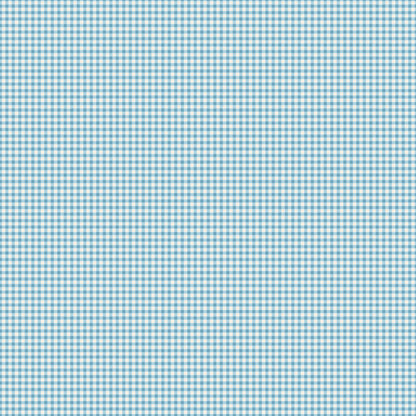 The Tale of Peter Rabbit - Gingham Bleu - Riley Blake Designs