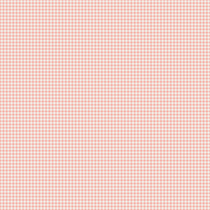 The Tale of Peter Rabbit - Gingham Coral - Riley Blake Designs