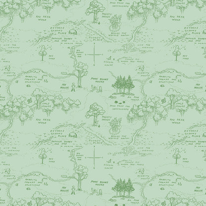 Winnie the Pooh (Echo Park Paper co) - Green Map - Riley Blake Designs