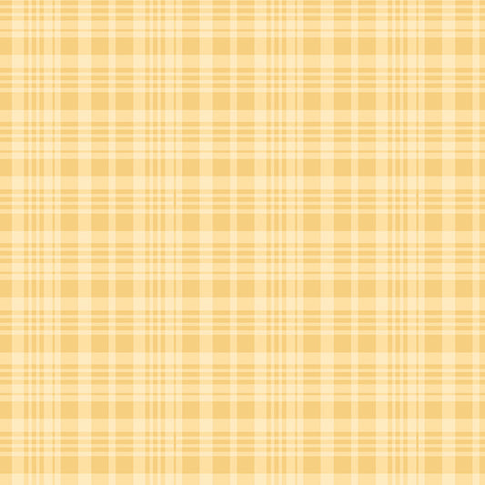 Winnie the Pooh (Echo Park Paper co) - Yellow Plaid - Riley Blake Designs