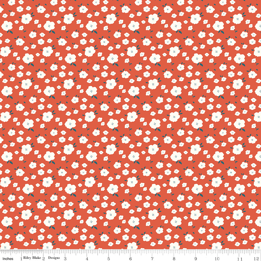 **PRE-ORDER** Serendipity 2 - Orange Flower Bed - Minki Kim