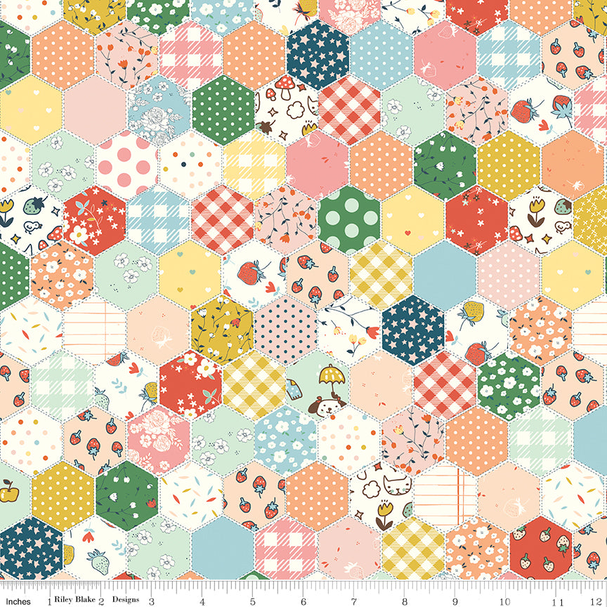 **PRE-ORDER** Serendipity 2 - Cheater Print Hexagons - Minki Kim