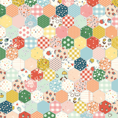 **PRE-ORDER** Serendipity 2 - Cheater Print Hexagons - Minki Kim