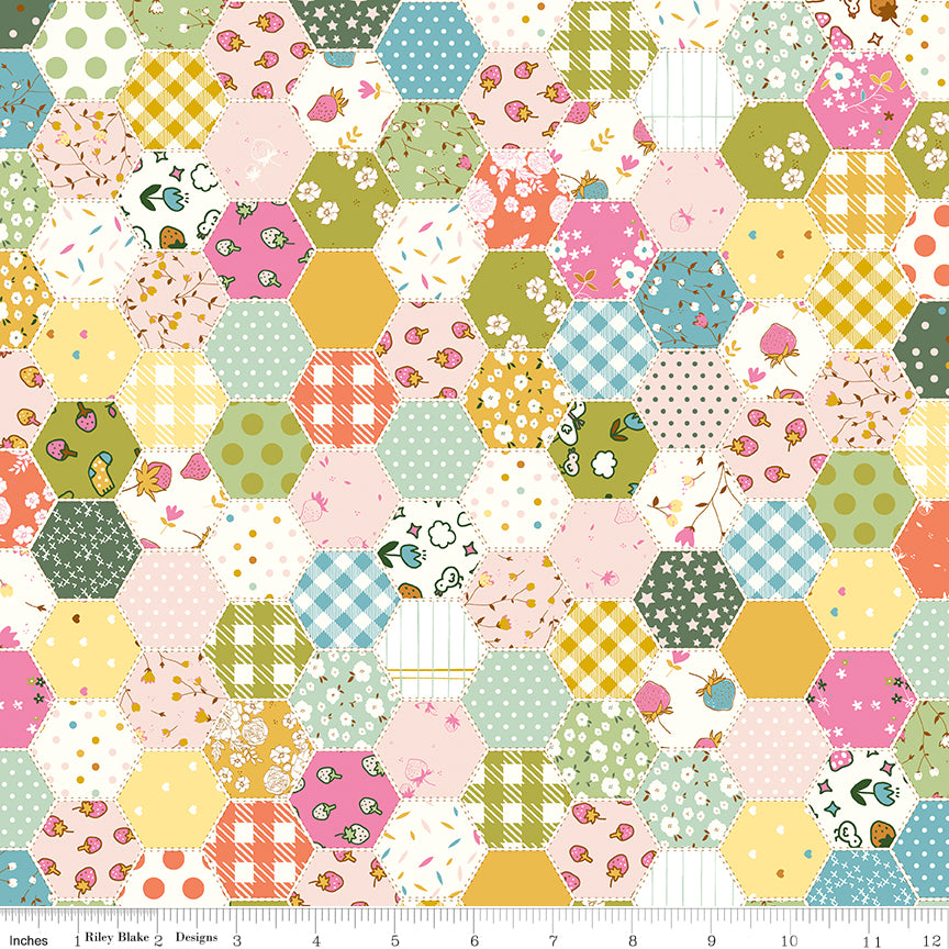 **PRE-ORDER** Ashmere - Hexies (Multi) - Minki Kim (Riley Blake Designs)