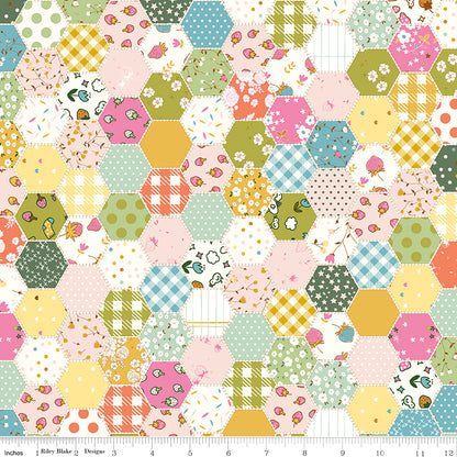 **PRE-ORDER** Ashmere - Hexies (Multi) - Minki Kim (Riley Blake Designs)