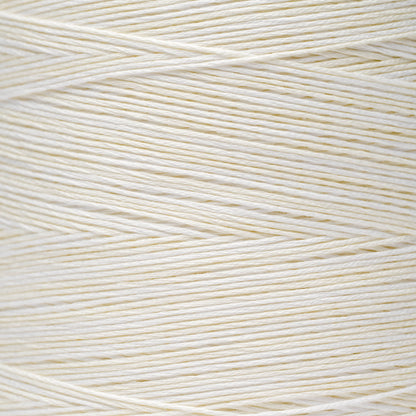 1091 Whitewash - Weeks Dye Works - Mouliné 6 brins