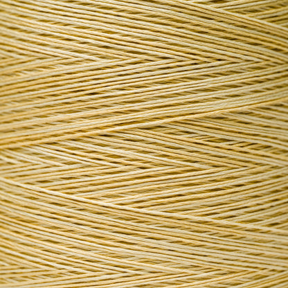 1118 Goldenrod - Weeks Dye Works 6-Strand Floss