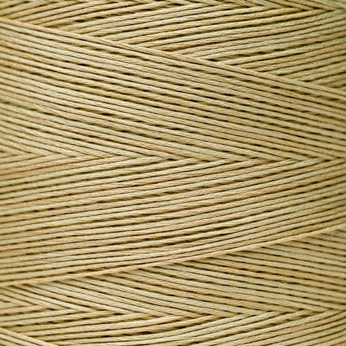 1123 Cornsilk - Weeks Dye Works 6-Strand Floss
