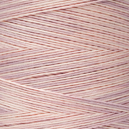 1139 Chablis - Weeks Dye Works 6-Strand Floss