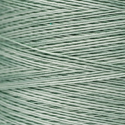 1166 Sea Foam - Weeks Dye Works 6-Strand Floss
