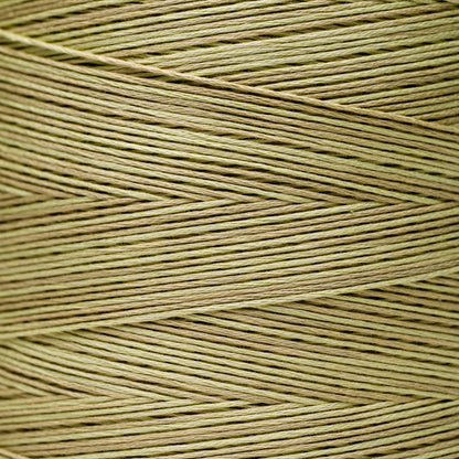 1194 Broom Tree - Weeks Dye Works 6-Strand Floss