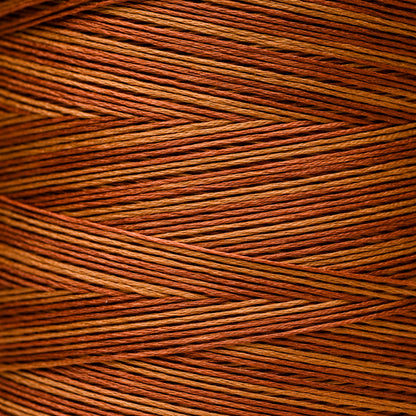 1228a Cinnamon Twist - Weeks Dye Works 6-Strand Floss