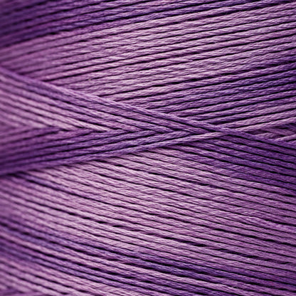 2020 Amethyst - Weeks Dye Works 6-Strand Floss