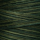 2158 Juniper - Weeks Dye Works 6-Strand Floss