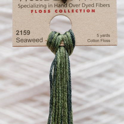 2159 Seaweed - Weeks Dye Works 6-Strand Floss
