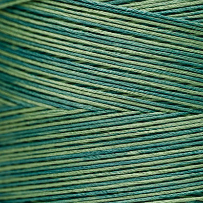 2166 Bayberry - Weeks Dye Works 6-Strand Floss