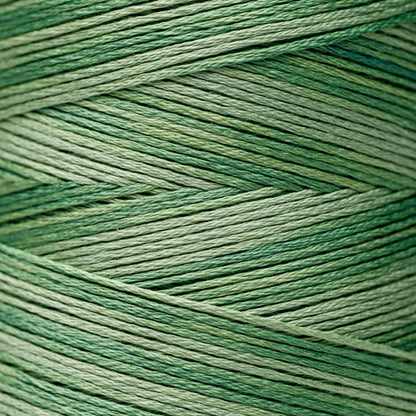 2171 Emerald - Weeks Dye Works 6-Strand Floss