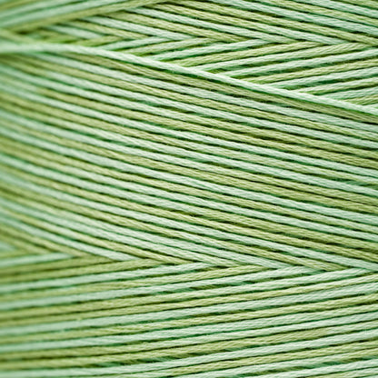 2176 Meadow - Weeks Dye Works 6-Strand Floss
